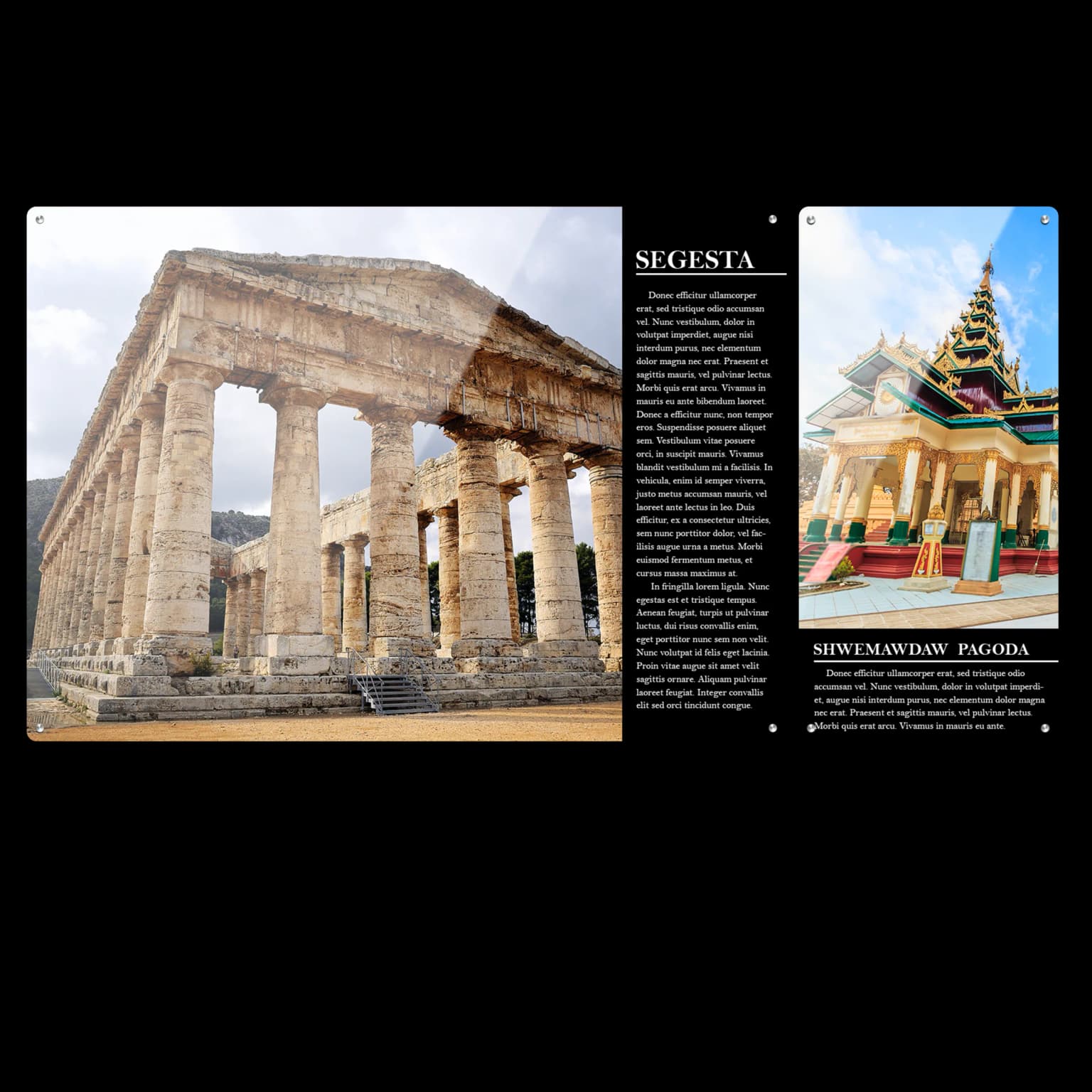 Professionally printed presentation and training materials by MSE Printing for workshops and conferences